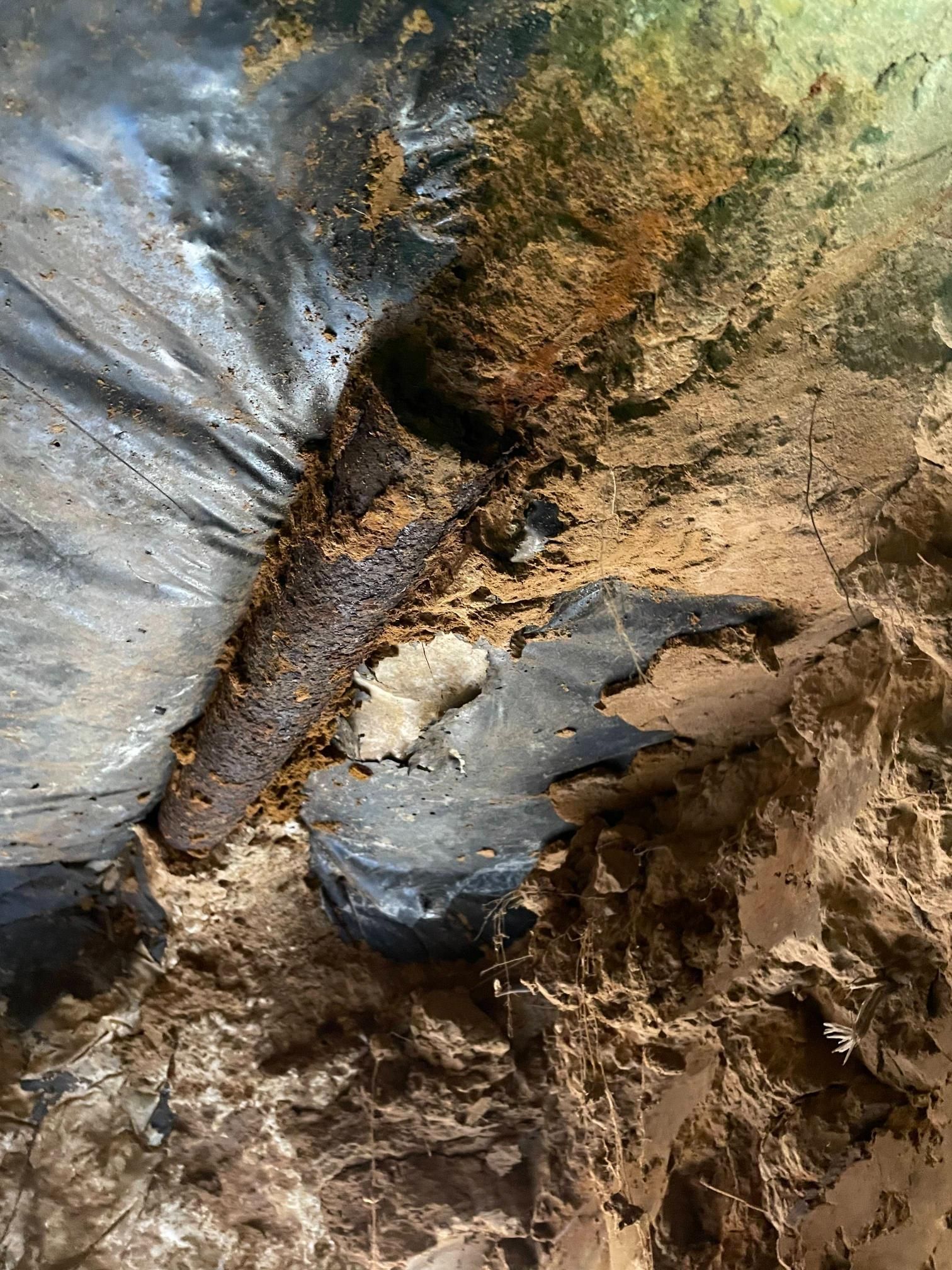 Brown, cylindrical object, possibly wood, embedded in stone ceiling. Brown and gray hues.