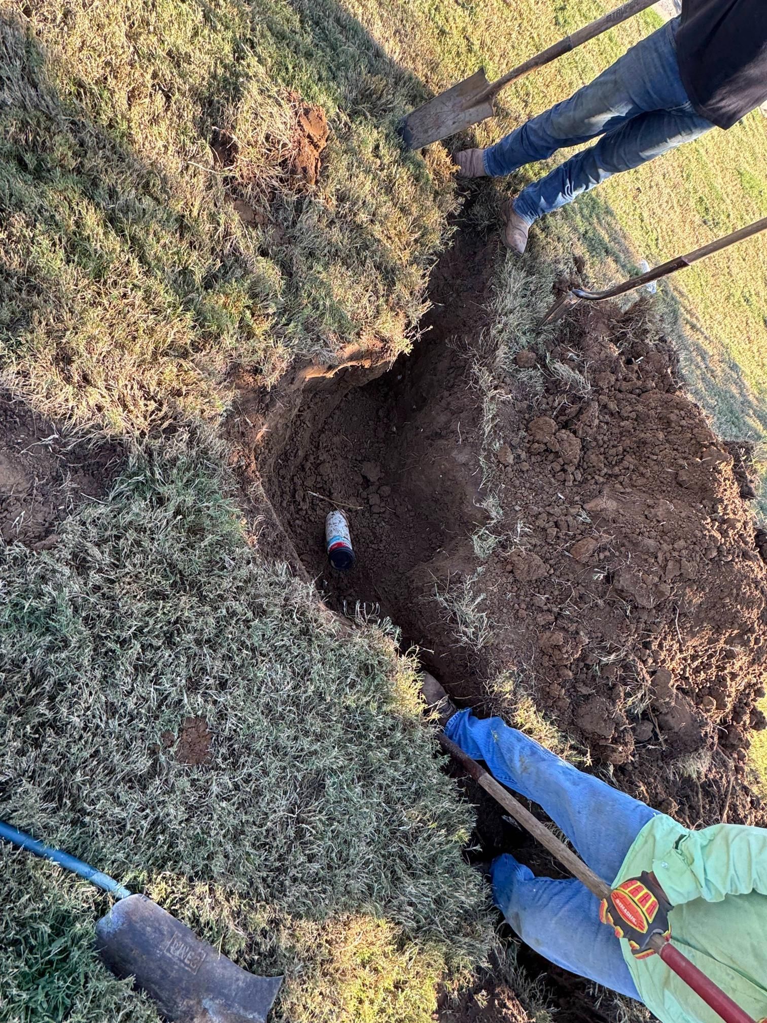 People digging in a trench in a grassy area, a white pipe is visible.