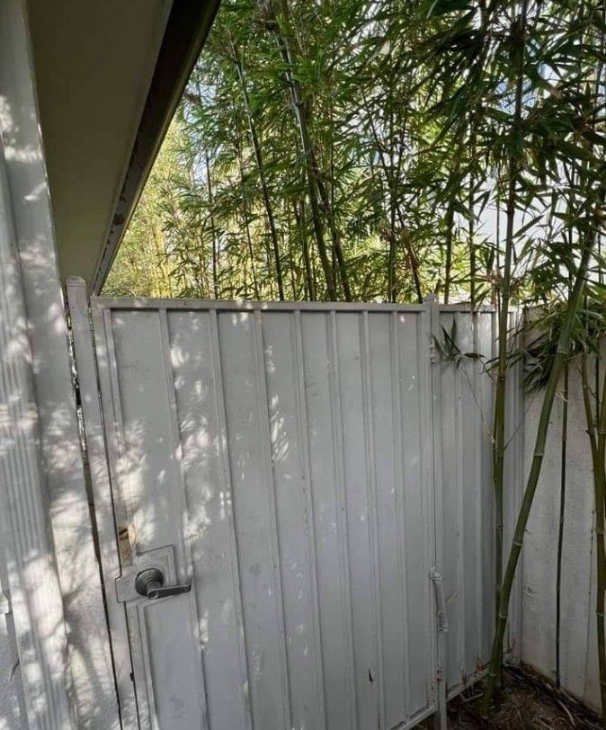 White metal gate and fence in front of bamboo trees.