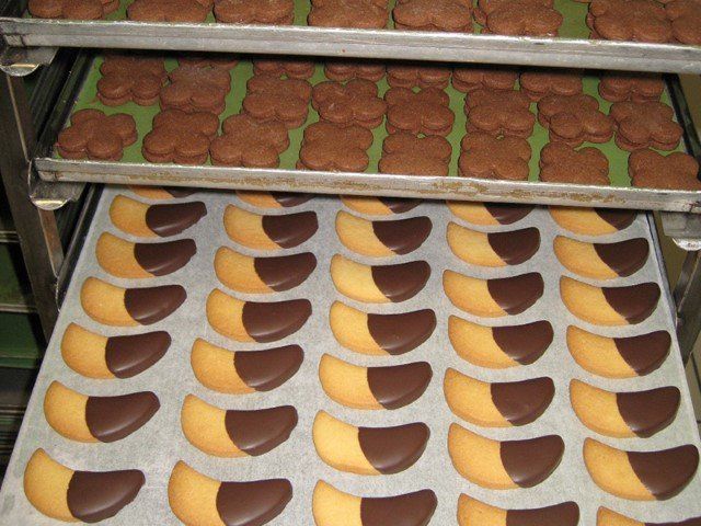 biscotti al cioccolato