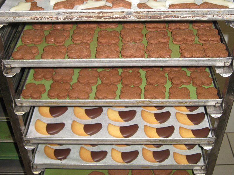 biscotti al cioccolato