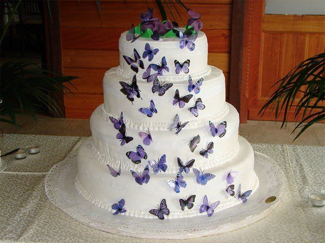 torta alla panna con farfalle