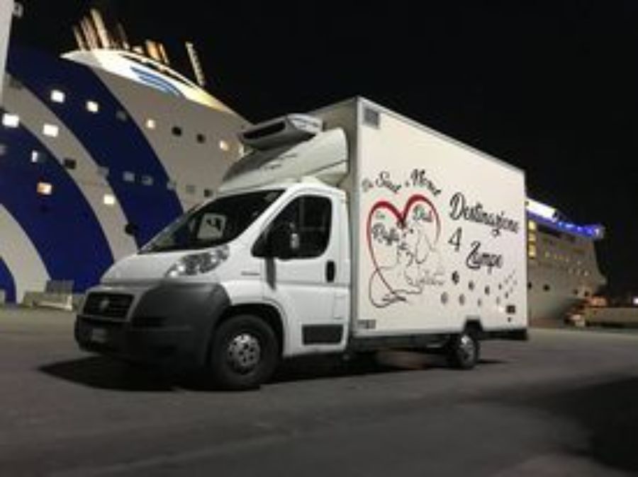 camion trasporto animali sicilia