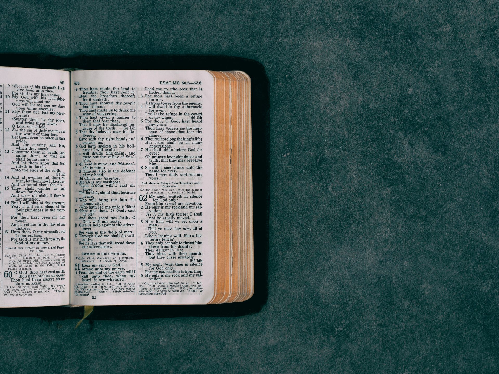 An open bible is sitting on a green carpet.