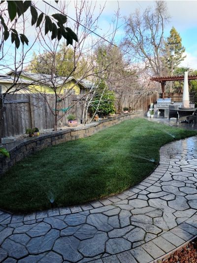 A backyard with a stone walkway and a lush green lawn.