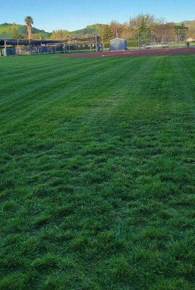 A lush green field of grass with a baseball field in the background.