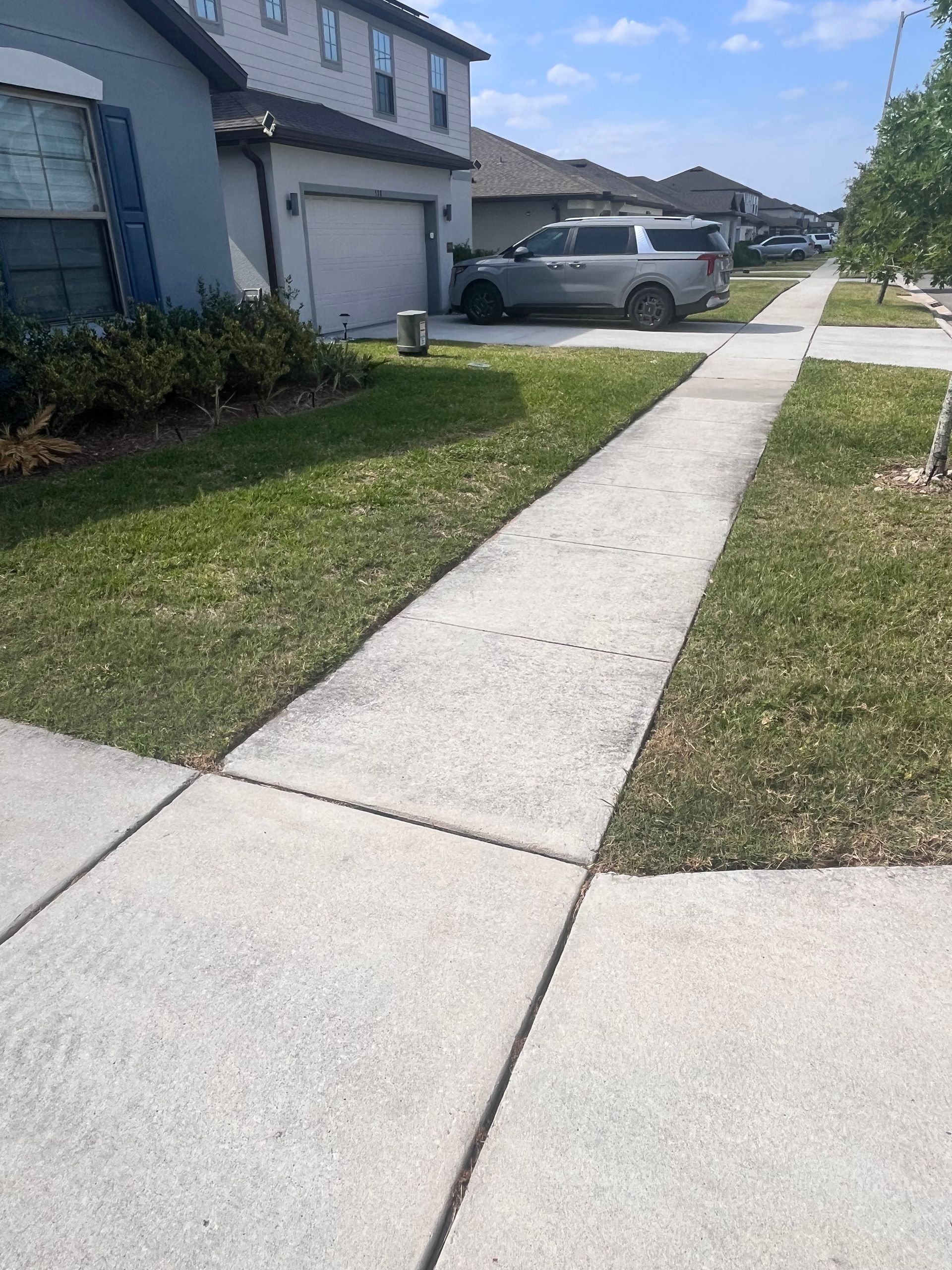Sidewalk along a residential street, with grass and houses on either side.