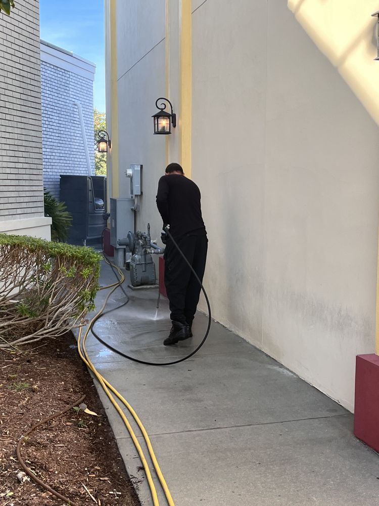 Person wearing black clothes sprays a concrete walkway with a hose. They stand between a white wall and a hedge.