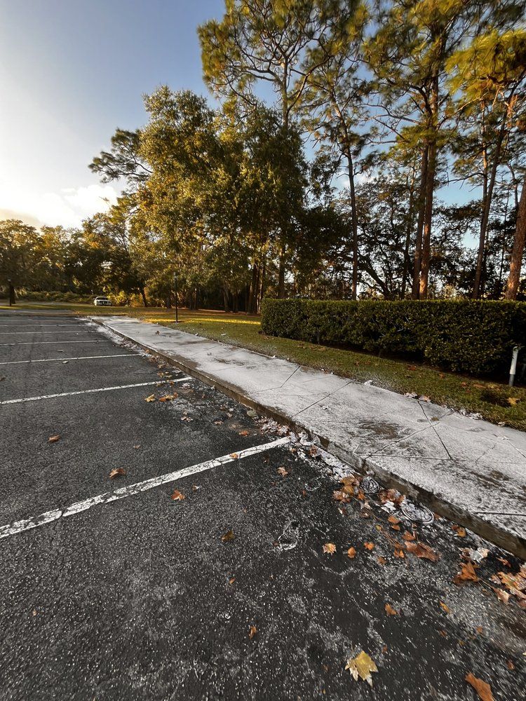 Asphalt parking lot with white lines, bordering a grassy area with shrubs and trees. Autumn leaves scattered about.