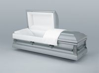 a silver coffin with the lid open is sitting on a table .