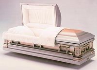 a silver coffin with the lid open is sitting on a white surface .