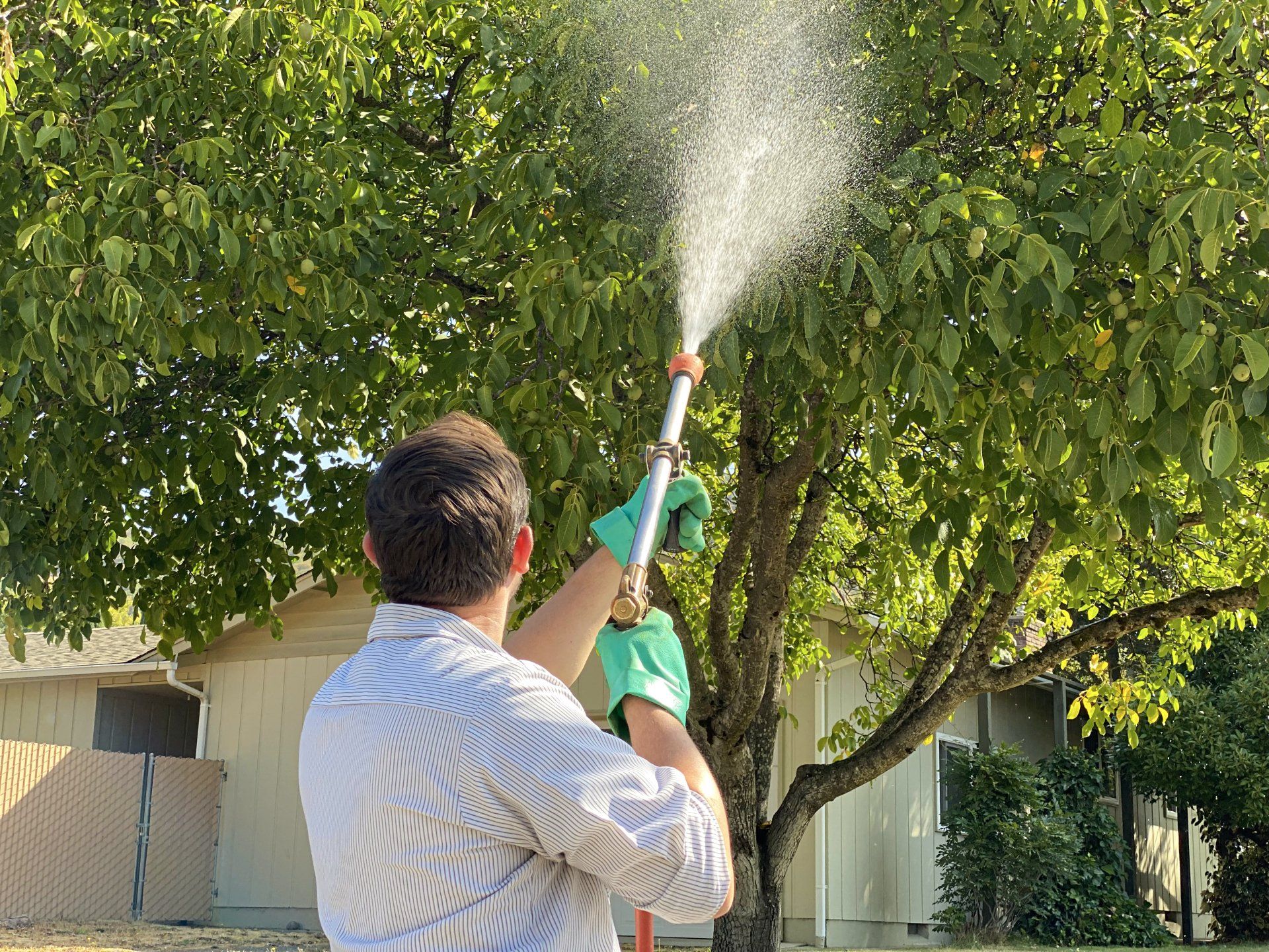 Pesticide spraying - Tree Care in Grants Pass, OR