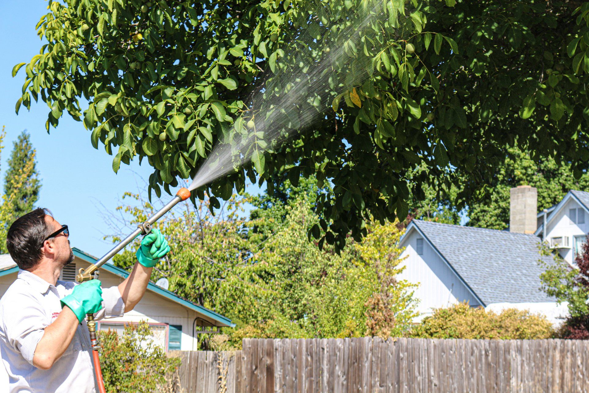 Pesticide spraying - Tree Care in Grants Pass, OR