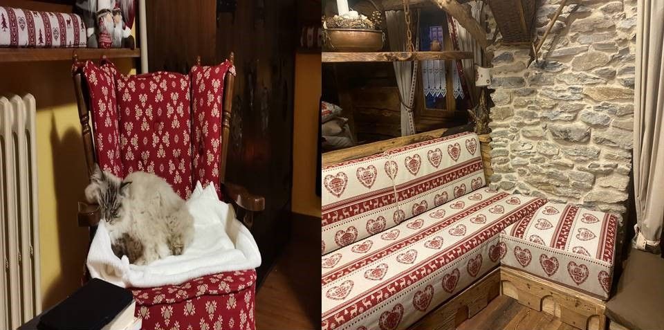 Un gatto è seduto su una sedia accanto a un divano.