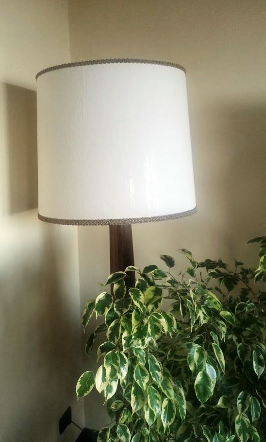 Una lampada con paralume bianco è appoggiata accanto a una pianta.