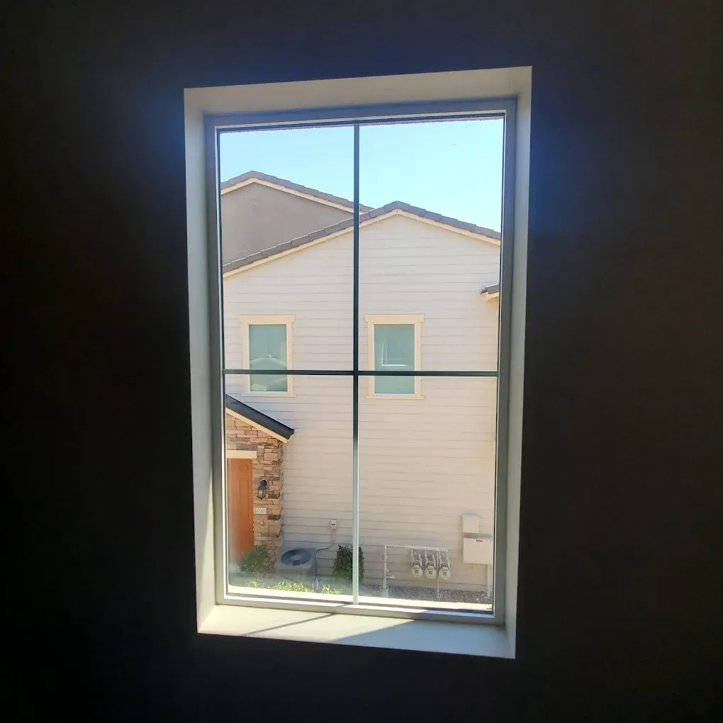 View through window blinds to apartment buildings, with a leafy houseplant in the foreground.