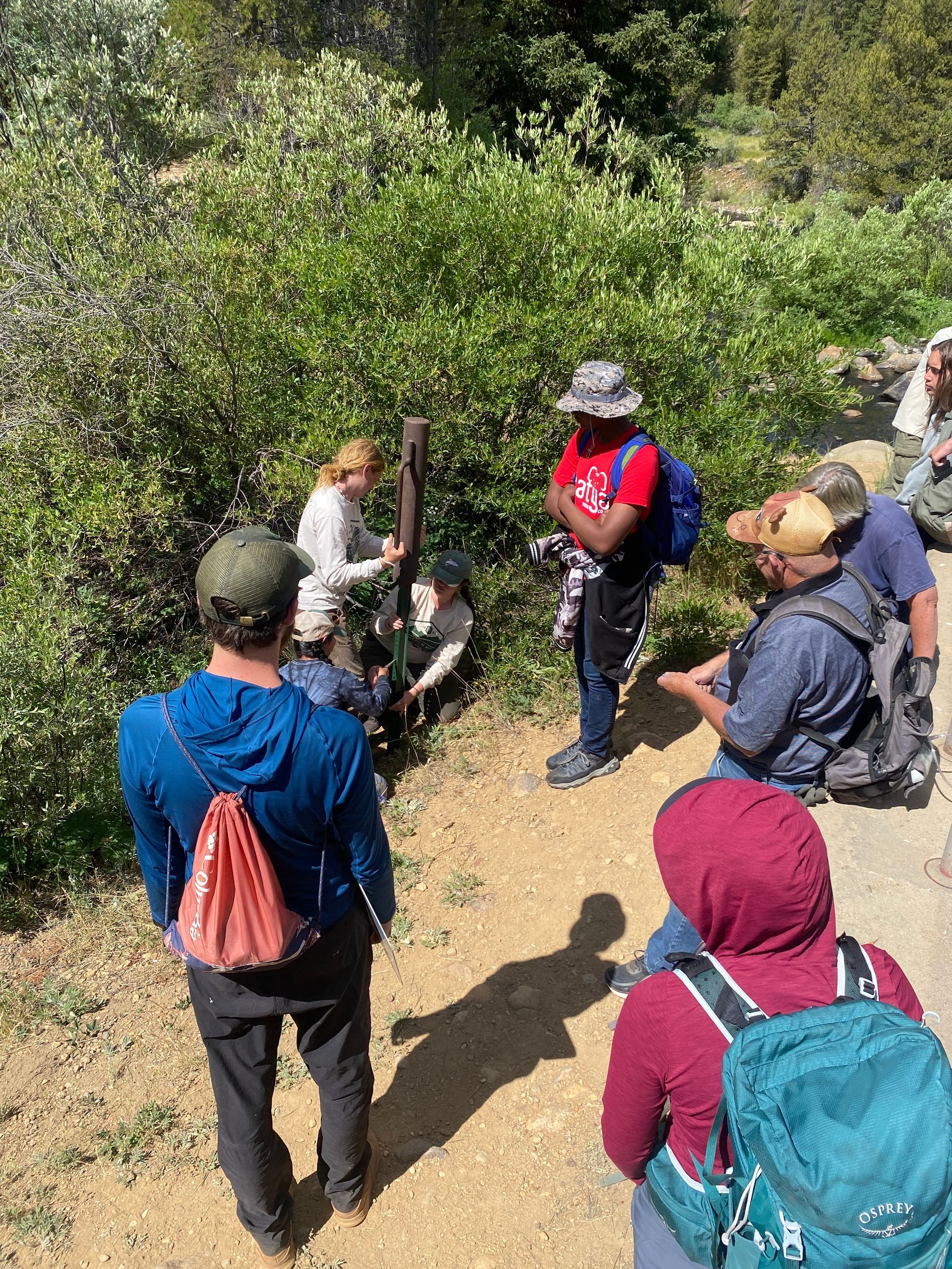 A group of people are standing on a dirt path in the woods.