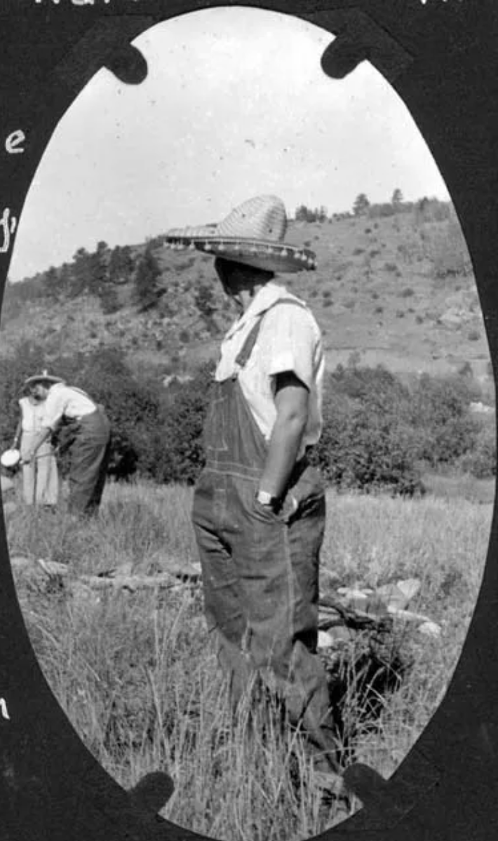 A man wearing overalls and a hat is standing in a field.