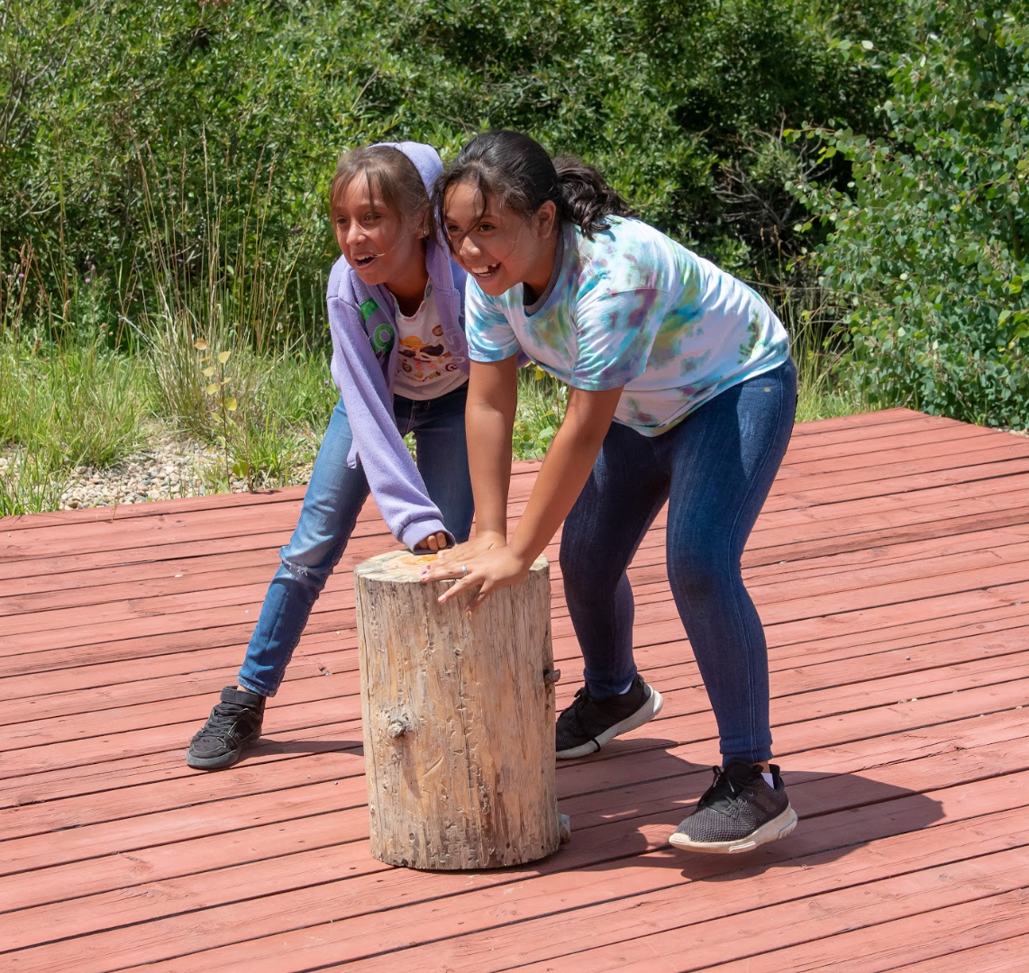 Two young girls are playing with a log on a wooden deck.