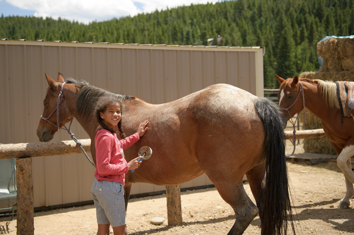 A young girl is brushing a brown horse in a fenced in area.