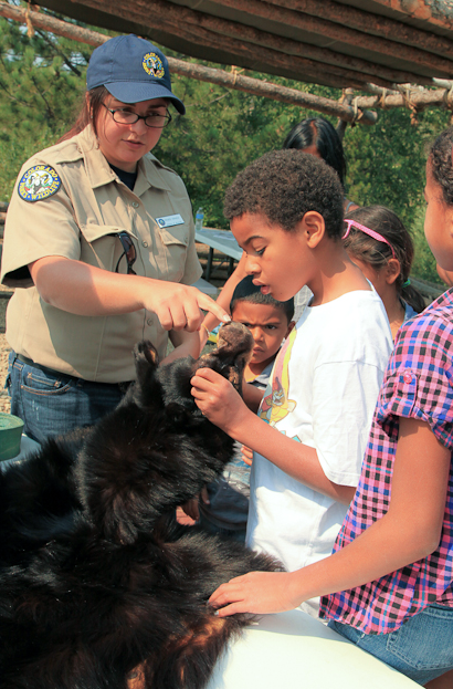 A woman is petting a black bear while a group of children look on.