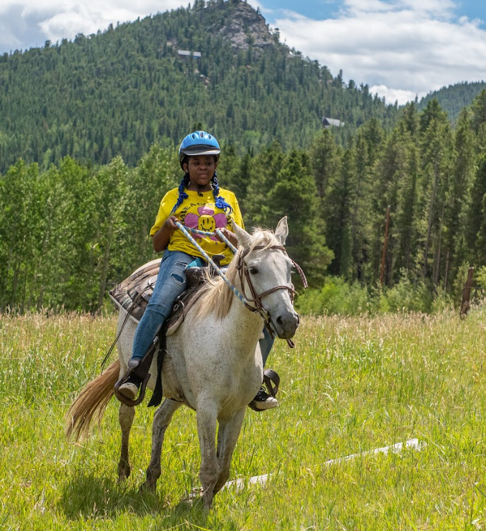 A person riding a horse in a field with a mountain in the background