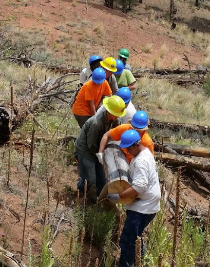 A group of people wearing hard hats are working on a log