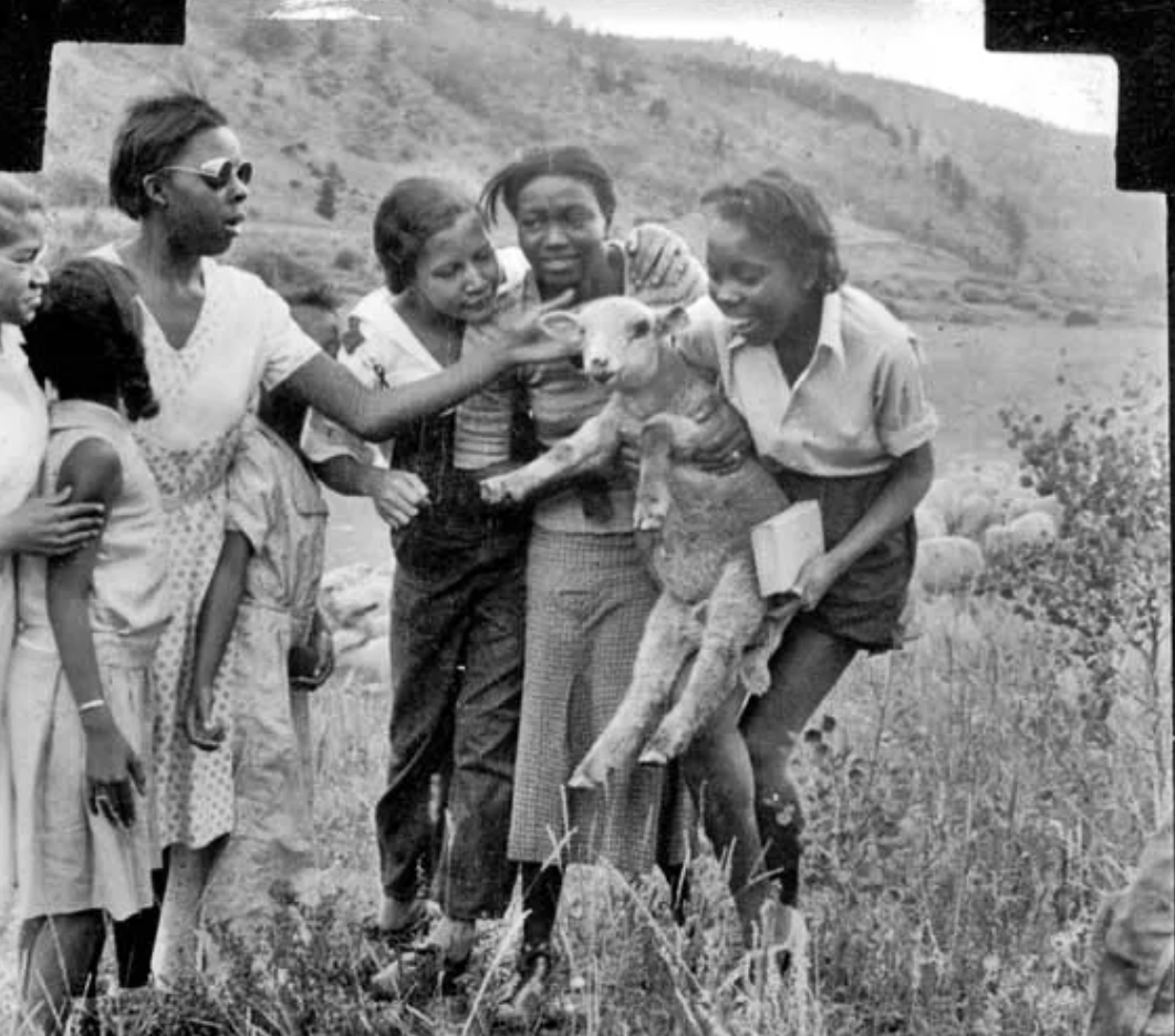 A black and white photo of a group of people holding a baby sheep.