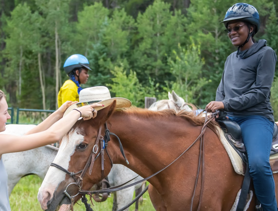 A woman is putting a bridle on a brown horse.