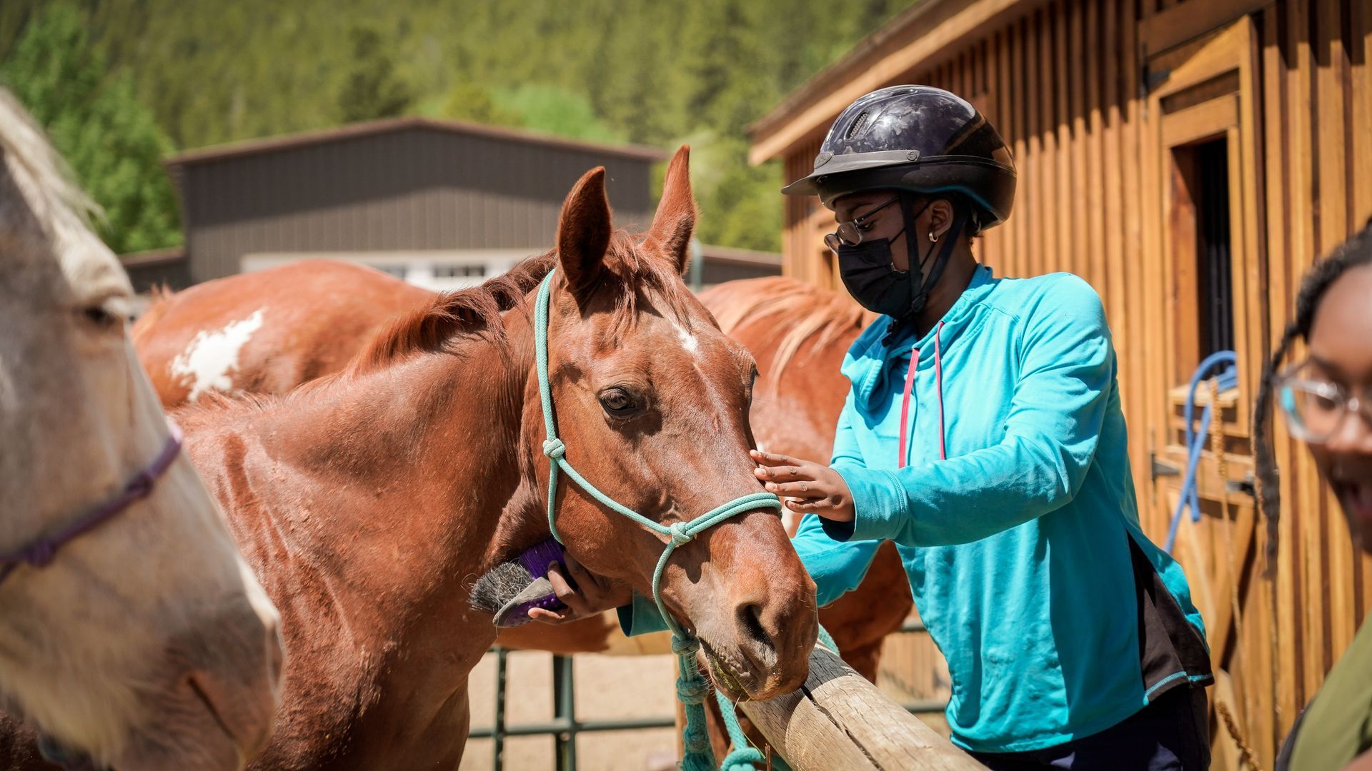 A woman wearing a mask is petting a horse in a stable.