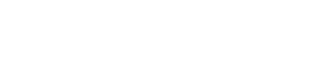 Mikel Flores & Associates, P.C Light Logo