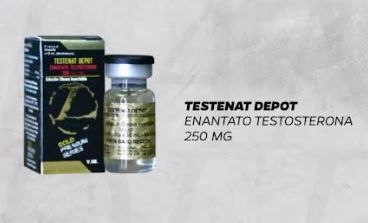 Vial y caja de testosterona Testenat Depot con detalles dorados, fondo negro y texto.