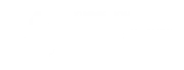 Un fond blanc avec quelques lignes dessus