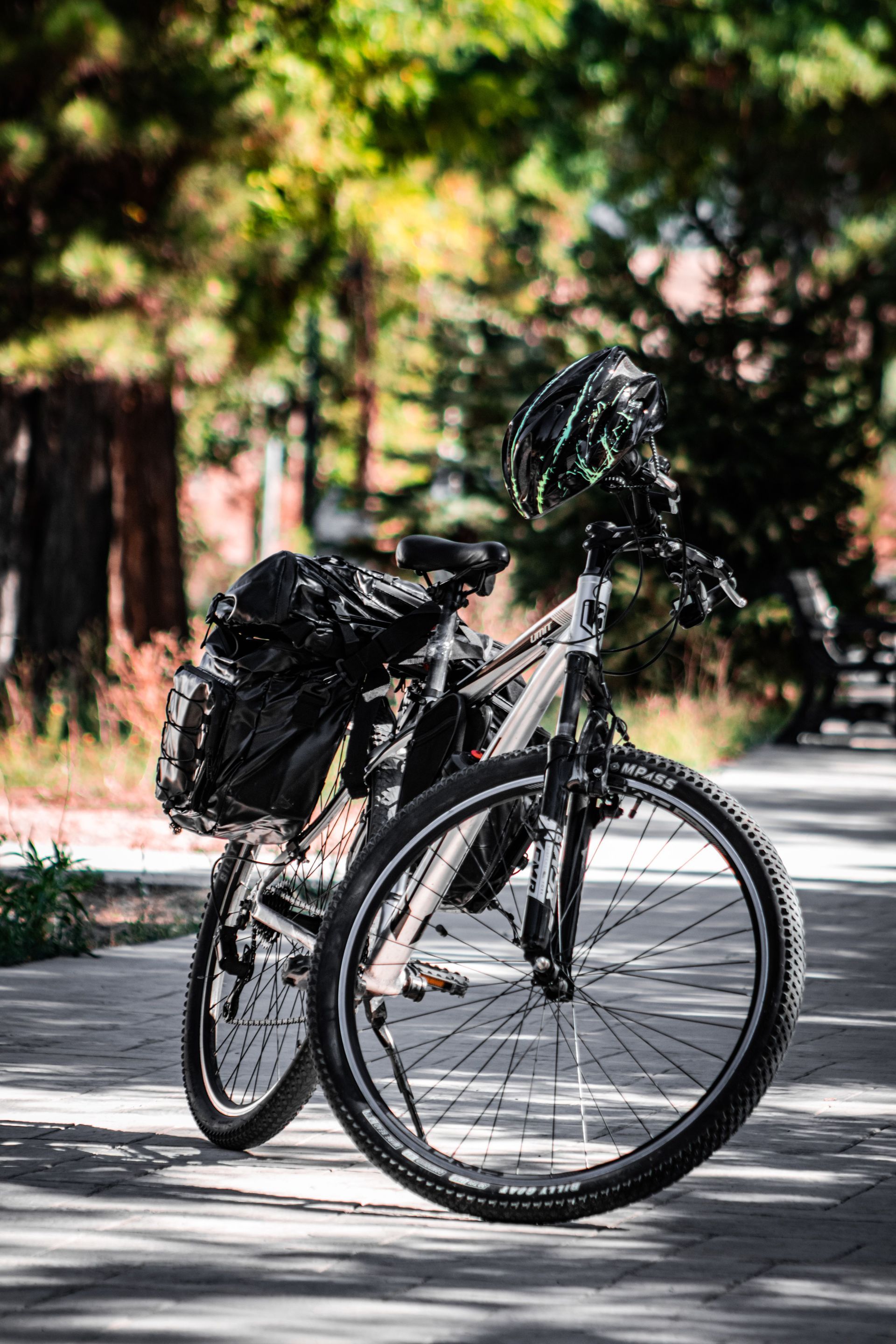 Bicicletta nera con borse laterali parcheggiata su un sentiero alberato e soleggiato.