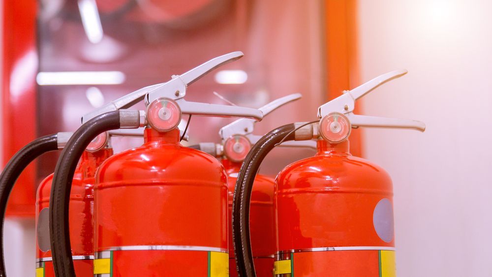 Red Fire Extinguishers, Lined Up, With Black Hoses and Silver Handles — Industry Fire Services in Ingham, QLD