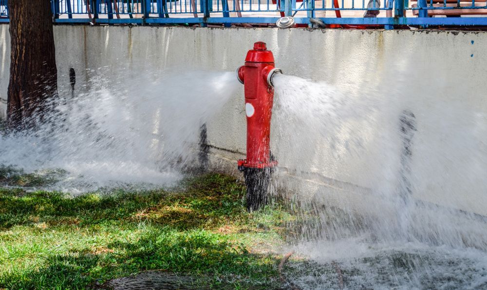 Red Fire Hydrant Gushing Water Onto a Green Grassy Area — Industry Fire Services in Charters Towers, QLD