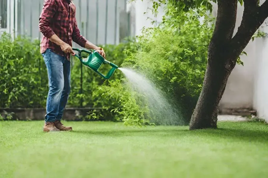 Aerate And Fertilize Your Lawn