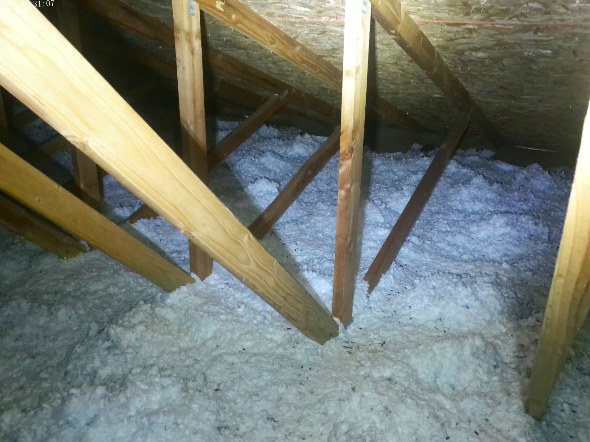 An attic space featuring wooden roof rafters and framing above a thick layer of loose-fill white insulation.
