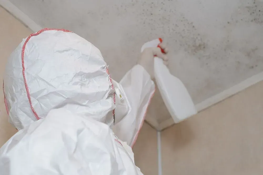 Person in protective suit sprays ceiling covered in mold.