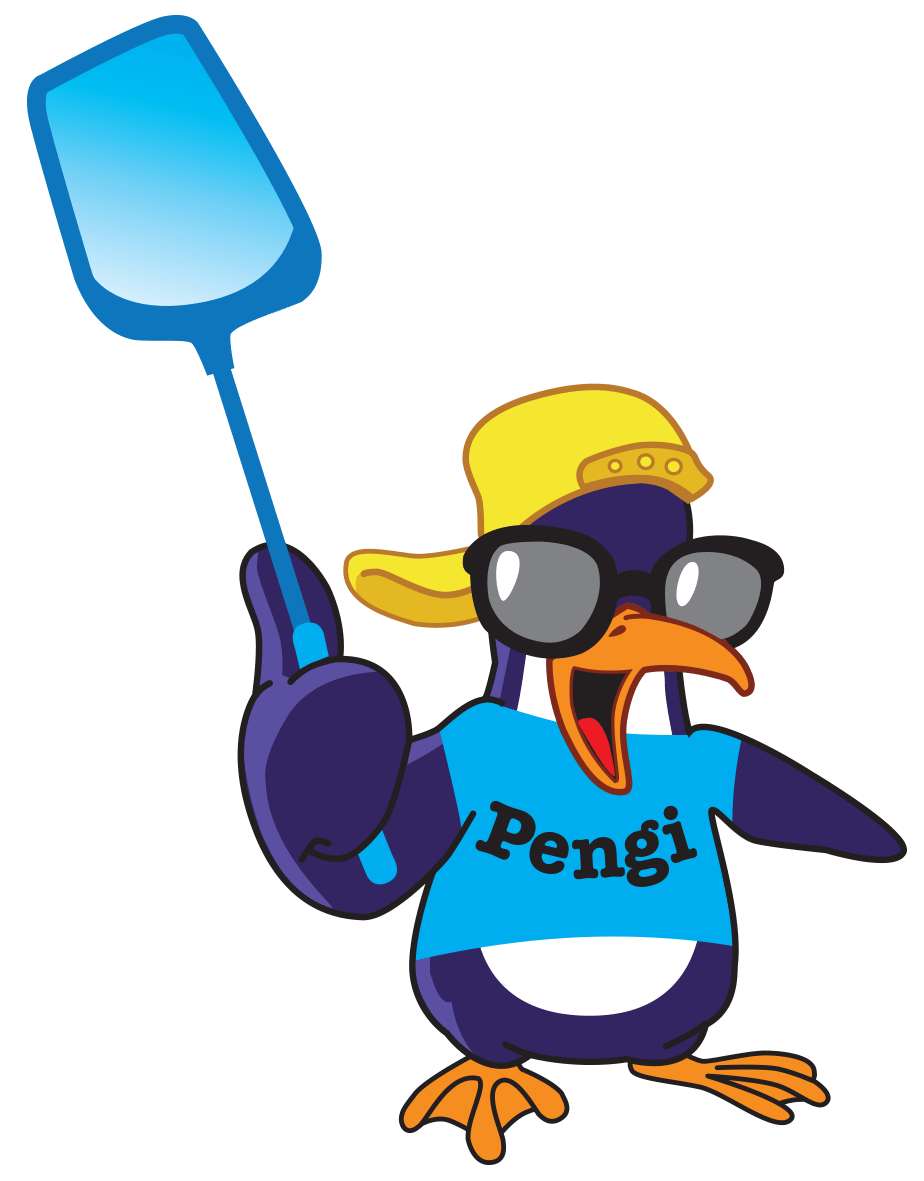 Penguin Pools Pool Maintenance on the Gold Coast