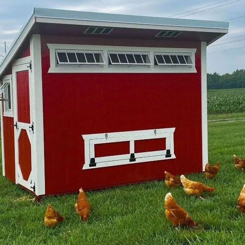 Red Chicken Coops Shed