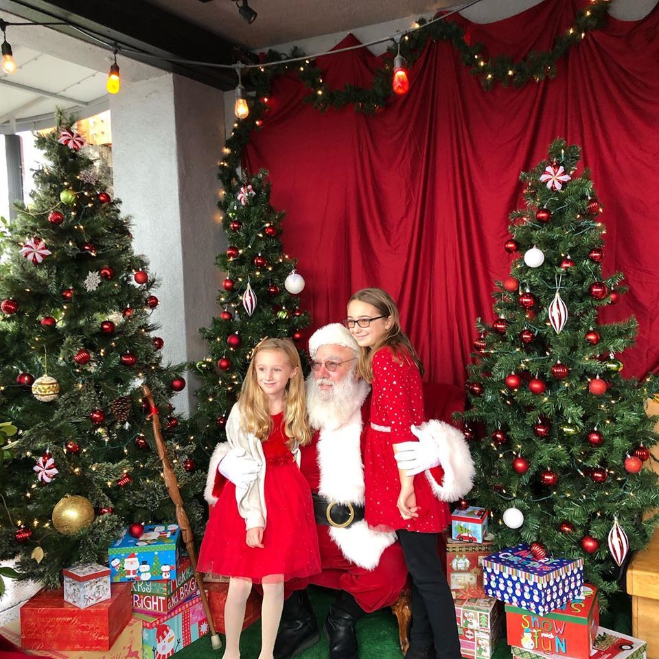 Two little girls are posing for a picture with santa claus