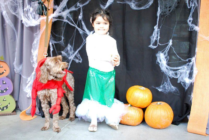 A little girl standing next to a dog in a halloween costume