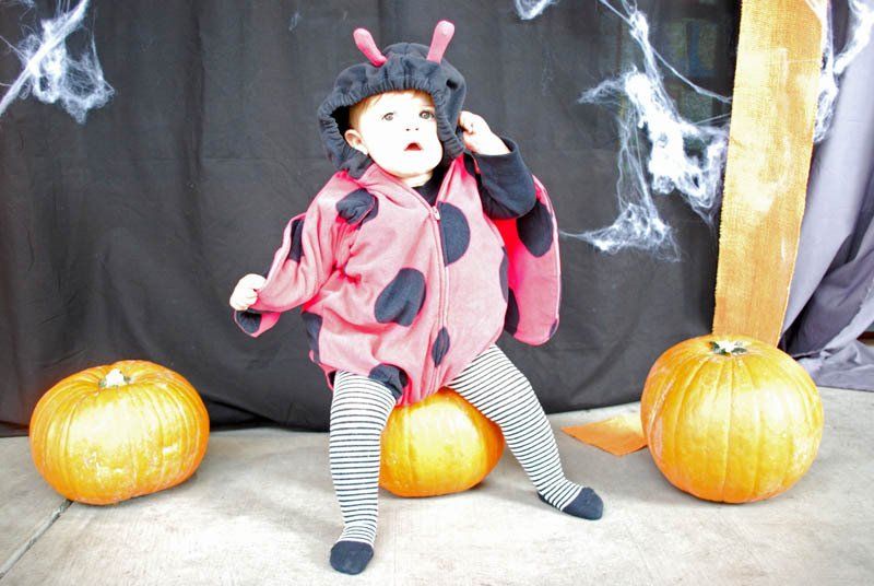 A baby in a ladybug costume is standing on pumpkins