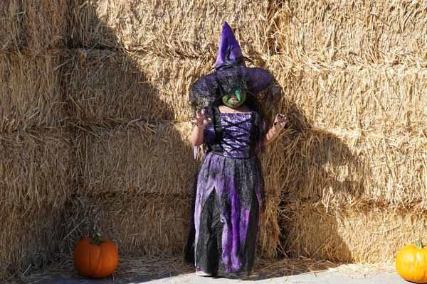 A little girl in a witch costume is standing in front of a hay bale.