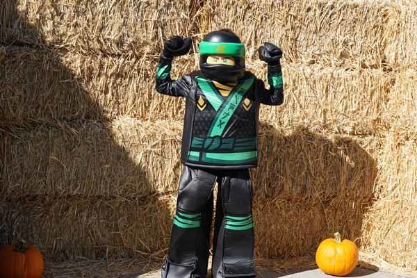 A person in a lego ninjago costume is standing in front of a hay bale.