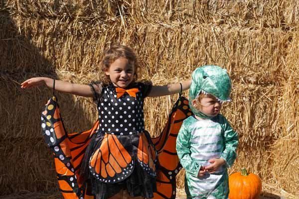 A little girl in a butterfly costume and a little boy in a dinosaur costume are posing for a picture.