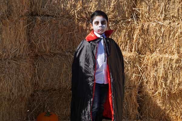 A young boy dressed as a vampire is standing in front of a hay bale.