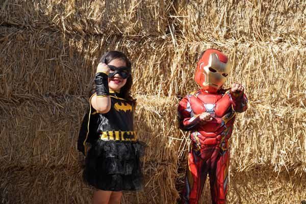 A girl dressed as batman and a boy dressed as iron man are standing next to each other in front of a hay bale.