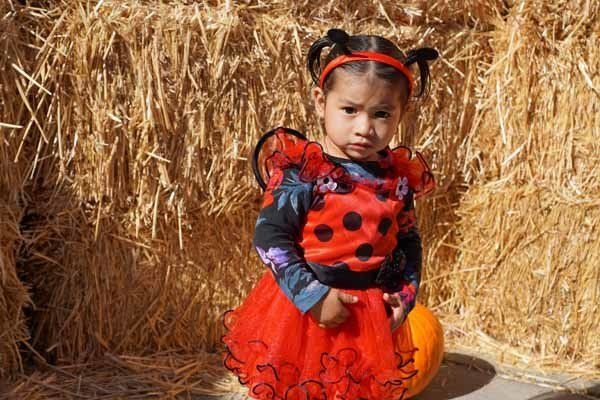 A little girl in a ladybug costume is sitting next to a pumpkin.